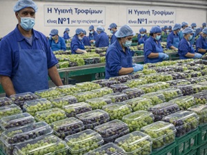 Greece Fruit Packers Code of Conduct Fruit Supplier code of Conduct for Greece